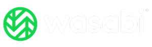 Wasabi Cloud Storage